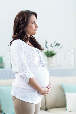 Pregnant woman in living room