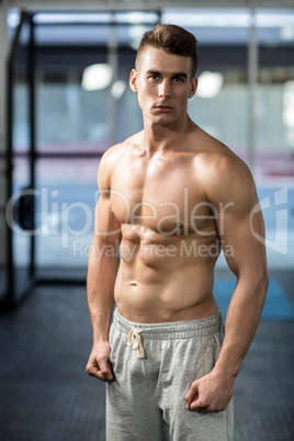 Fit muscular man posing shirtless