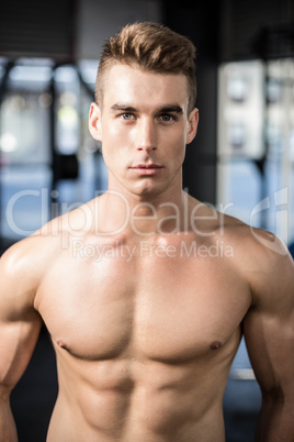 Fit muscular man posing shirtless