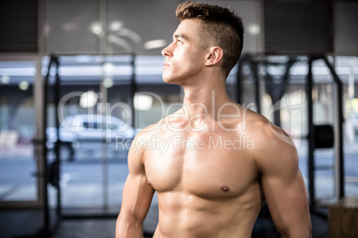 Fit muscular man posing shirtless