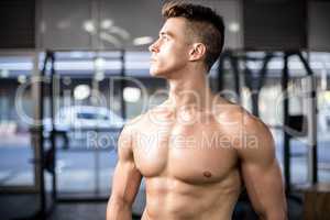 Fit muscular man posing shirtless
