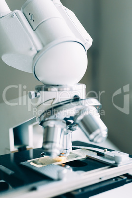 Microscope in Laboratory
