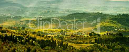 Fields in Tuscany