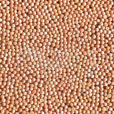 Grains peas as background