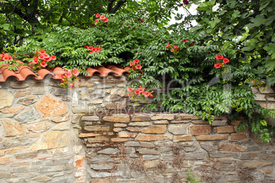 old stone wall with flowers