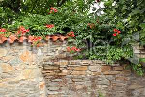 old stone wall with flowers