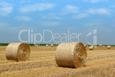 straw bales