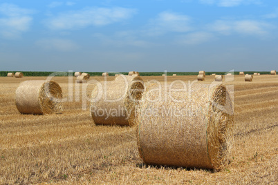 straw bales agriculture industry