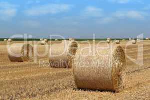 straw bales agriculture industry