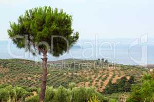 landscape Sithonia Halkidiki Greece