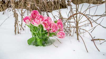 Fresh flowers in the snow