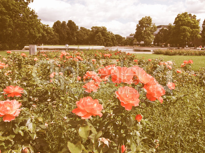 Gardens in Stuttgart Germany vintage