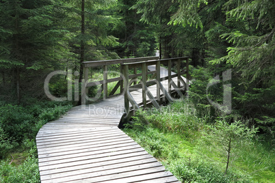 The nature trail in a nature reserve Kladska