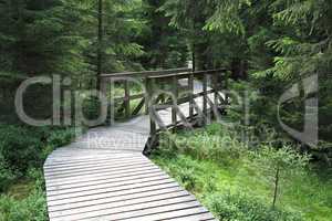 The nature trail in a nature reserve Kladska