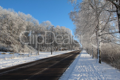 Winter landscape