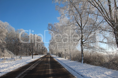 Winter landscape