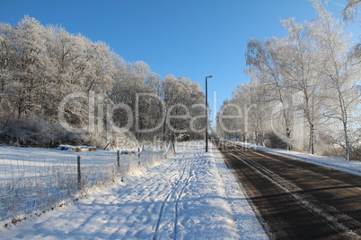 Winter landscape