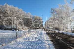 Winter landscape