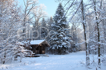 Winter Landscape