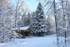 Winter Landscape