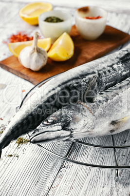 Carcasses frozen mackerel