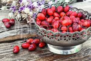 Vase with ripe cornelian cherry