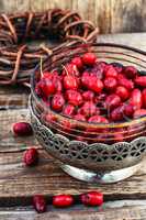 Vase with ripe cornelian cherry