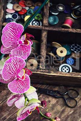 Sewing supplies and Orchid