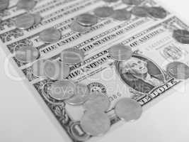 Black and white Dollar coins and notes