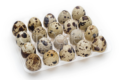 Quail Egg Pack