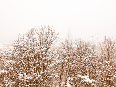 Turin view vintage