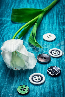 white tulip and buttons