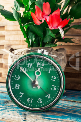 symbol of spring green clock and blossoming flower