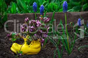 care of ornamental flowers in pots