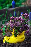 care of ornamental flowers in pots