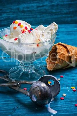 ice cream in  bowl and waffle cup