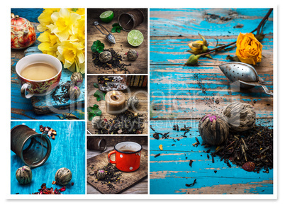 collage tea brew