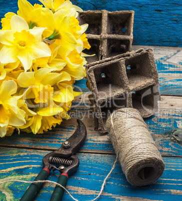 garden tools and cut daffodils