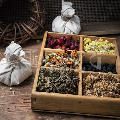 medicinal herb faith healer