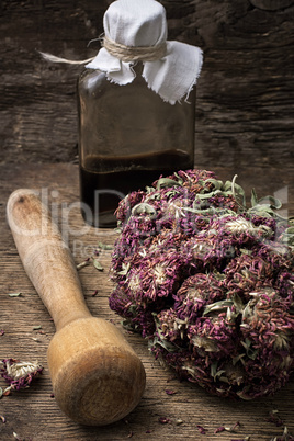 medicinal herb