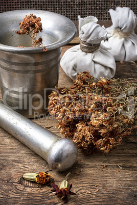 medicinal herb