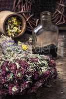 elixir potion of herbs