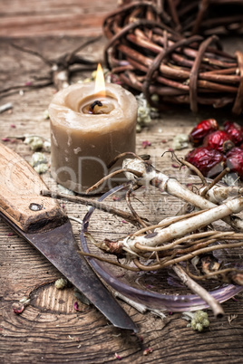 medicinal herbs and roots