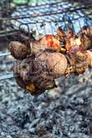 barbecue at the picnic