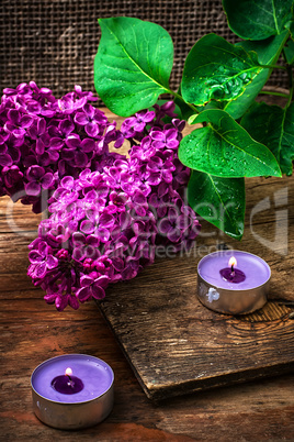 Bush may lilac and lighted candle