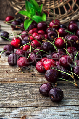 juicy and fresh berries