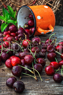 juicy and fresh berries