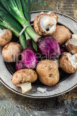 summer vegetable harvest