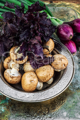 summer vegetable harvest