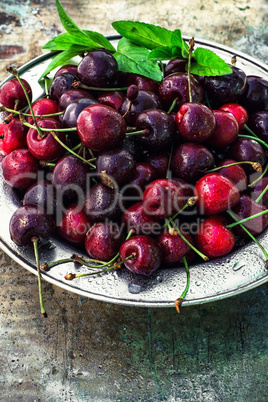 juicy and fresh berries